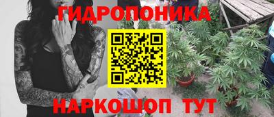 гашишное масло Можга