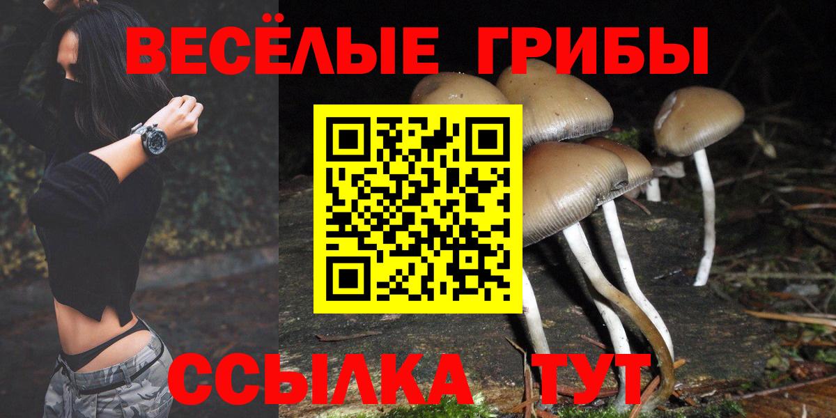 Псилоцибиновые грибы мухоморы Черняховск