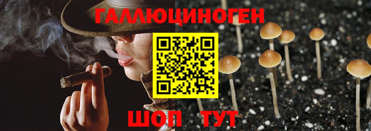 Черняховск  Галлюциногенные грибы MAGIC MUSHROOMS  Вход с VPN  Галлюциногенные грибы Cubensis 